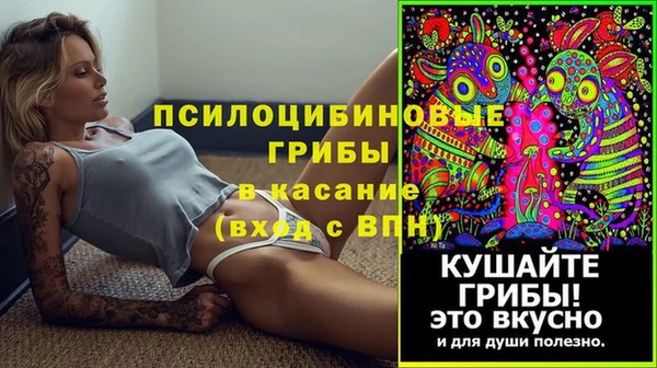 круглые Аркадак